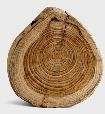 snc lemn yamy craft wood